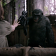 Illustration for article titled Everyone's Favorite Ape Villain Could Return To Planet Of the Apes